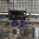 Napoleon Grill