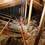 Complete Attic Renovation