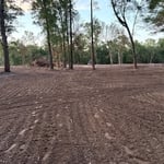 10 acre cleanup