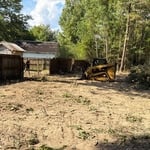 Tree removal