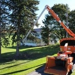 Tree Trimming