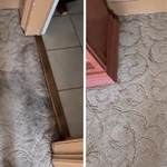 Carpet Refresh