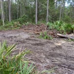 Partially Cleared