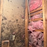 Rodent Control