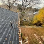 Gutter cleaning