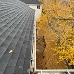 Gutter cleaning