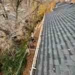 Gutter cleaning