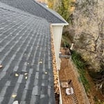 Gutter cleaning