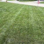 Corner yard