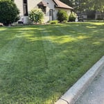 Side yard