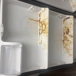 Refrigerator deep clean