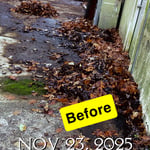 Yard Clean Up