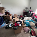 Waste Material Removal