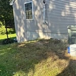 After: Cleared Yard