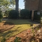 Dr. G'S New SOD