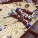 Custom Drone