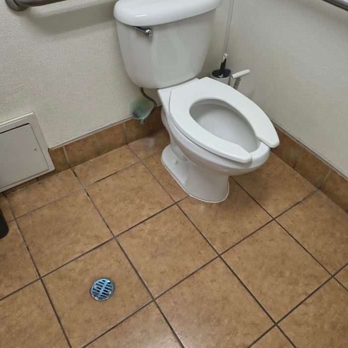 Toilet Repairs