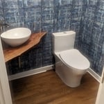 Live Edge Sink and Toto