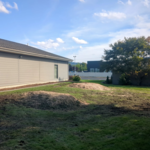Church Fir Removals