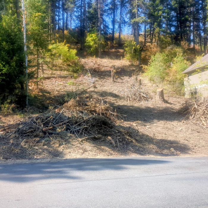 Land Clearing