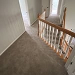 Low-moisture carpet clean