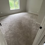 Low-moisture carpet clean