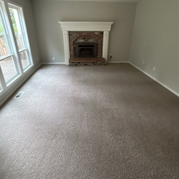 Low-moisture carpet clean