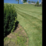 Lawn Care