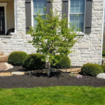 Lawn Care