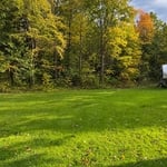 Small land clearing