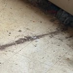 Deep clean