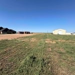 Property land clearing