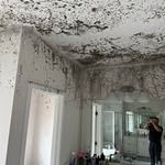 Black Mold Cleanup