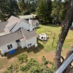 Tree removal