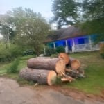 Tree work