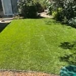 Sod demo and reinstall