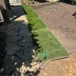 Sod demo and reinstall