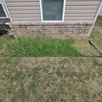 Flower bed