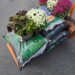 Flower bed