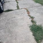 Flower bed