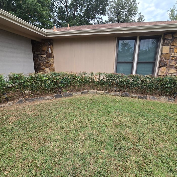 Flower bed