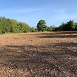 Foresty Mulching