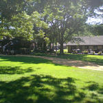 Back Yard Before