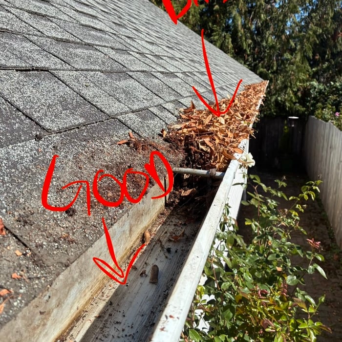 Gutter cleaning
