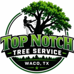 Top Notch Tree Service