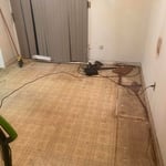 Full house cleanout
