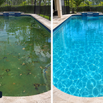 Pool Cleanup Service