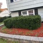 Trim/clean up