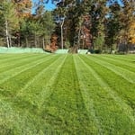 seasonal mowing