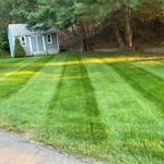 seasonal mowing